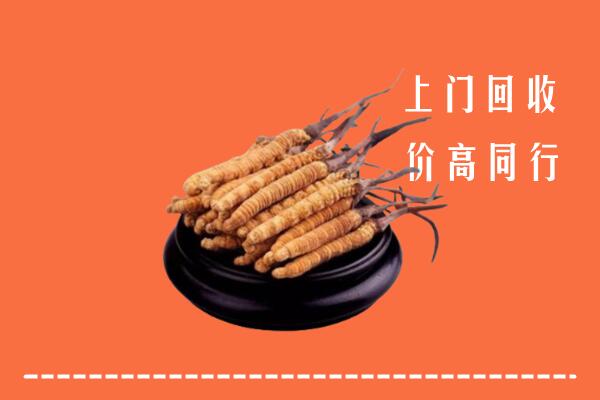 高价求购：佳木斯市汤原回收散虫草