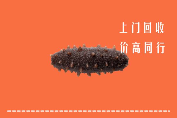 佳木斯市汤原回收海参