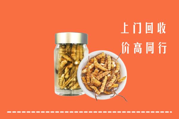佳木斯市汤原回收冬虫夏草