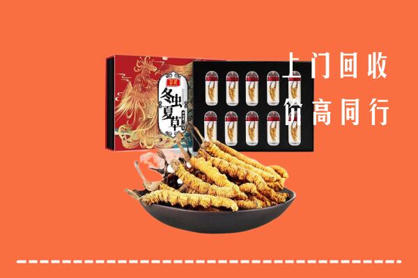 佳木斯市汤原回收虫草